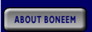 About Boneem